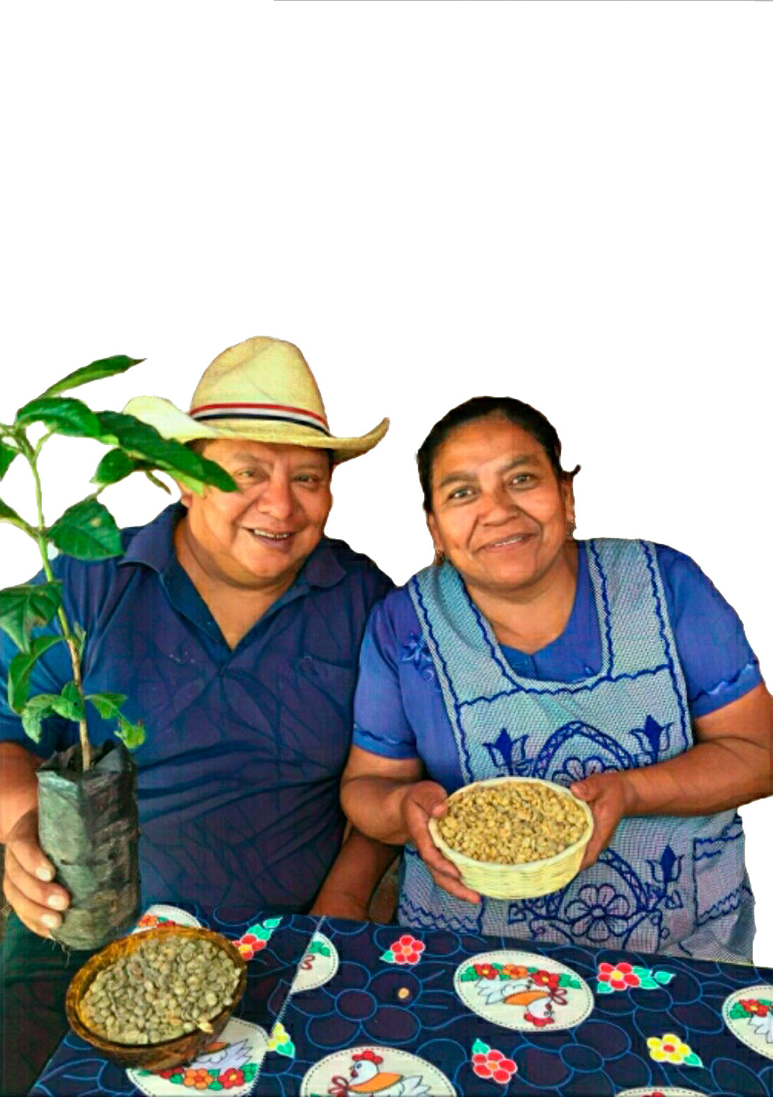 La Primera Familia 86 - BIO Maya Röstkaffee