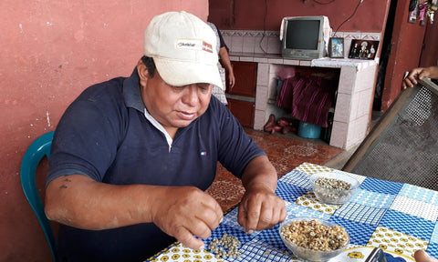 La Primera Premium Maragogype 87 - Mayan roasted Coffee