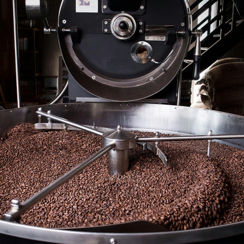 Premium Maya Röstkaffee | La Primera Maragogype 87 (250g)