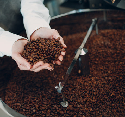 Maya Kingdom Kaffee-Probierset | La Primera & Kaffeeland Hainisch 4x 250g