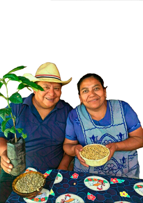 La Primera Familia 86 - ORGANIC Mayan roasted Coffee