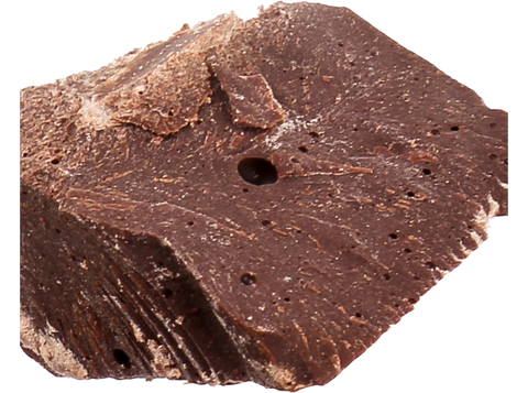 Maya Cosmos cocoa Criollo