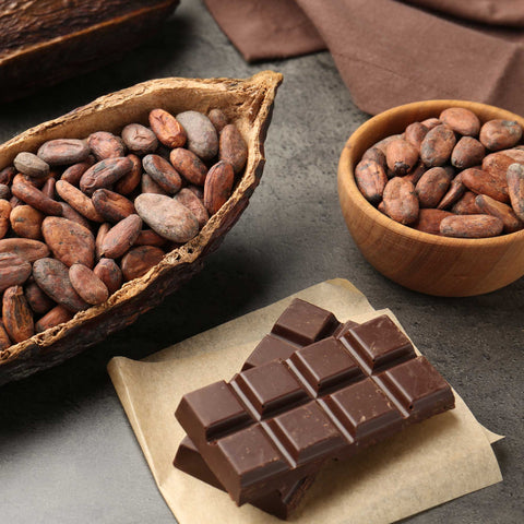 Maya Cosmos Criollo Kakaobohnen