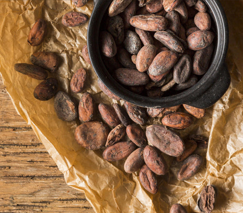 Maya Cosmos Criollo Kakaobohnen