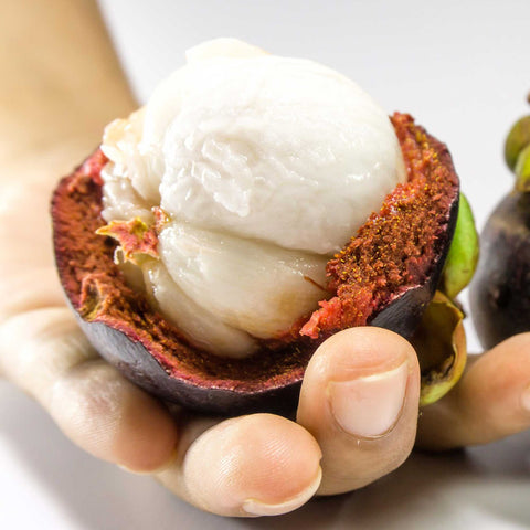 Exotische Früchte-Trio | 3x Maya Kingdom Superfruits