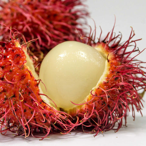 Rambutan Superfruit gefriergetrocknet | Vitamine & Geschmack pur (28g)